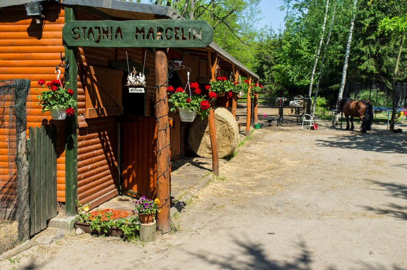 W Poznaniu powstaje leśne przedszkole