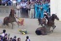 PALIO SIENA