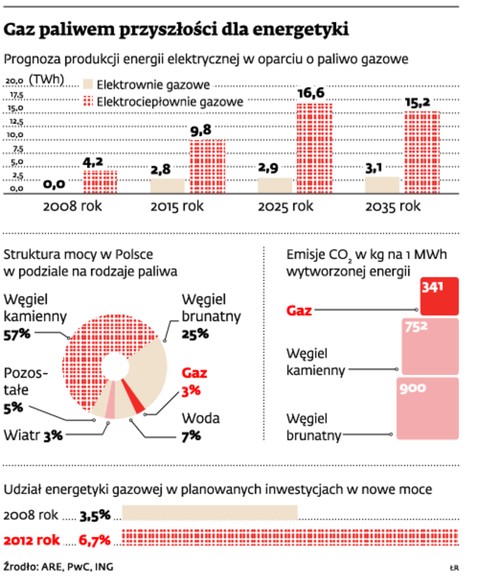 Gaz paliwem przyszłości dla energetyki