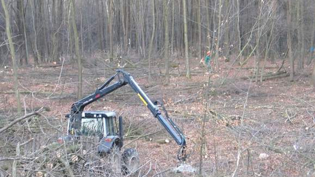 Chełmianie mogą już być pewni, że stok narciarski w Kumowej Dolinie nie będzie sprowadzał się jedynie do oślej łączki, ale też zadowoli bardziej zaawansowanych narciarzy.