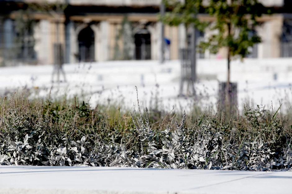 Samo deo planova sproveden u delo