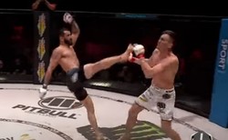 WOW!!! Co za nokaut!!! Mamed Khalidov "zniszczył" Scotta Askhama