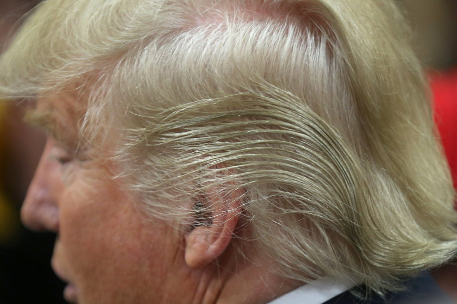 Donald Trump's hair