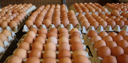 Sanepid alarmuje: kolejne jajka z salmonellą