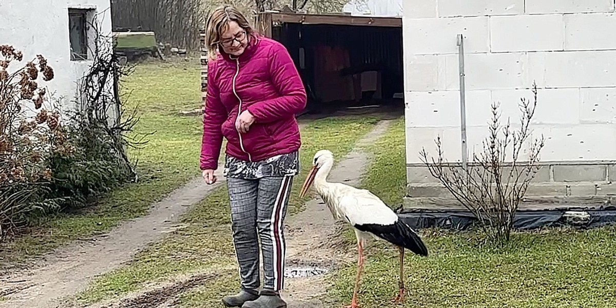 Bociek jest bardzo towarzyski