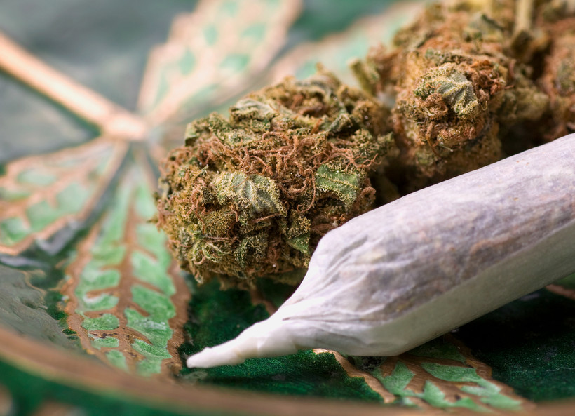 „Marihuana jest nielegalna w większości jurysdykcji poza Kanada, zatem dane użytkowników marihuany są bardzo wrażliwe”.
