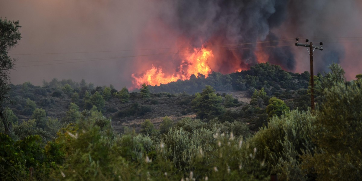 Pożar szaleje na greckiej wyspie Kefalonia