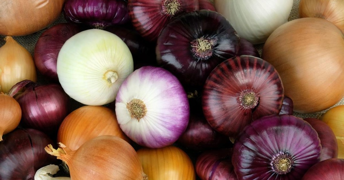 How onions improve men s sex drive and health Pulse Nigeria