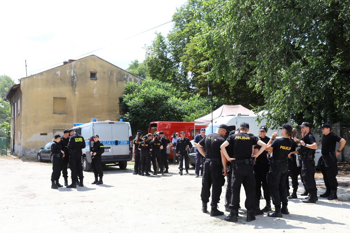 Poszukiwania Dawida Żukowskiego