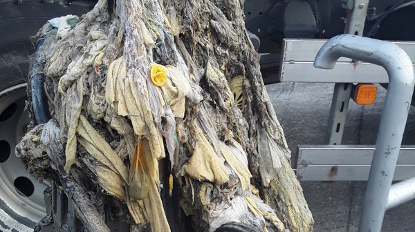 Ludzie potrafią wyrzucać do toalety jedzenie, szmaty, żwirek dla kota To tworzy zatory