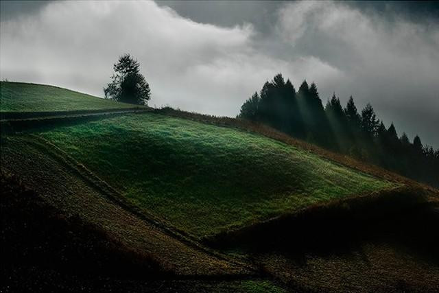 Galeria Polska - Beskidy, obrazek 15