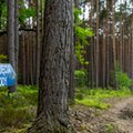 Rząd przyjął zmiany w ustawie o lasach. Kontrowersji nie brakuje