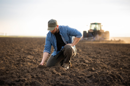 Umowa handlowa z Ukrainą wygasa w czerwcu. Rolnicy się niepokoją, a KE czeka na... wybory prezydenckie w Polsce