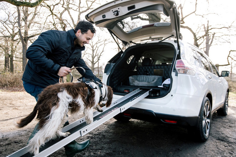 Nissan X-Trail z psim przedziałem