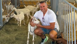 Niša Saveljić