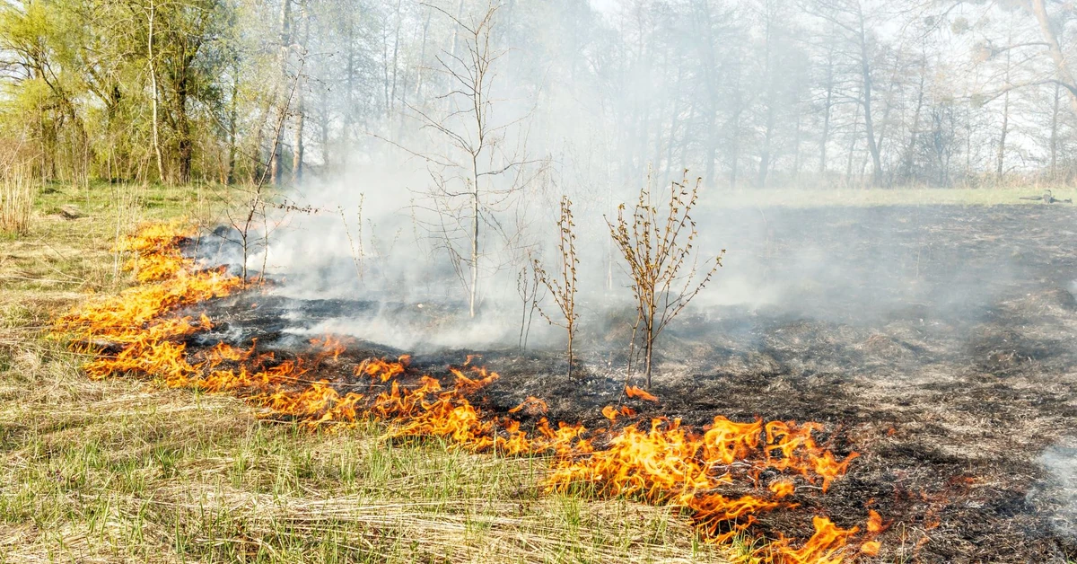 Już nie 5 tys. zł, a 30 tys. zł kary. Chwila nieuwagi może słono kosztować