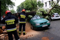 Gwałtowna burza nad Warszawą: Powalone drzewa, jedna osoba ranna. Zakłócenia w kursowaniu pociągów