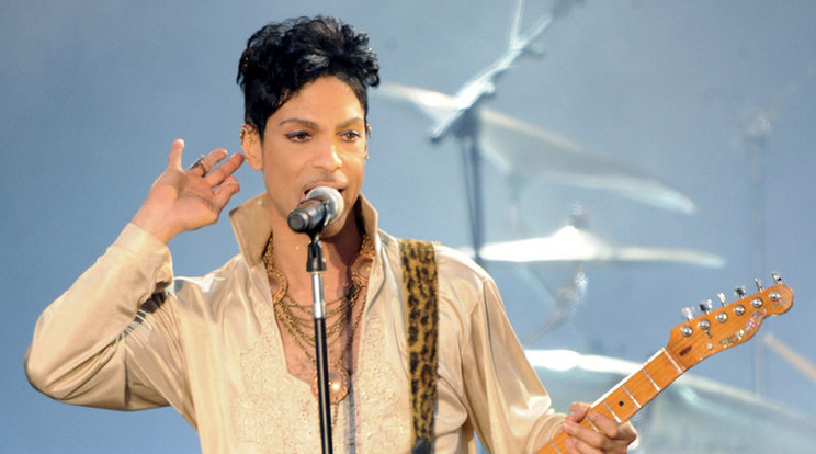 Lila színt neveznek el Prince-ről /Fotó: AFP