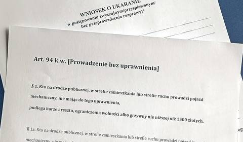 Policjanci złapali ją za jazdę bez uprawnień. Stanie za to przed sądem po raz 17