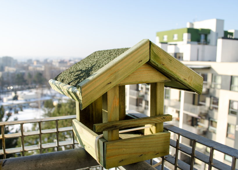 Gotowy karmnik można umieścić na tarasie lub balkonie - sauletas/stock.adobe.com