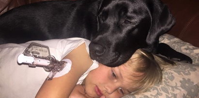 Pies uratował śpiącego chłopca