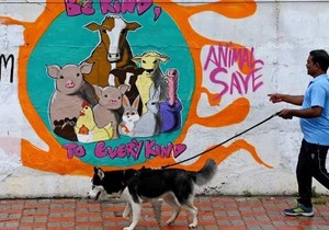 Niste izveli psa u šetnju? U Indiji se za to plaća kazna, a može čak da se ode i u zatvor | Foto: AFP