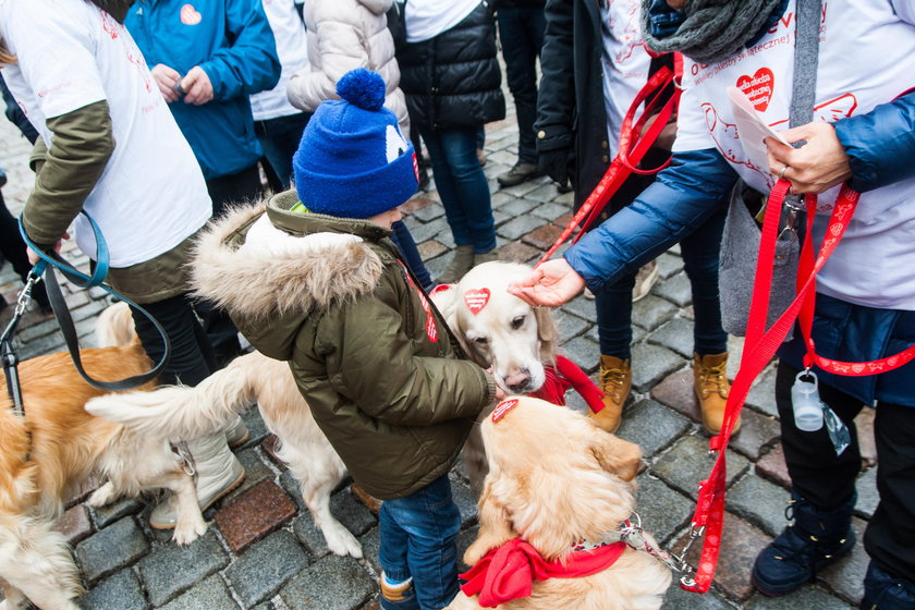 25. finał WOŚP w Poznaniu