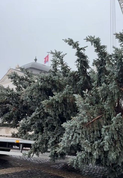 Pred prezidentským palácom už stojí vianočný stromček. 