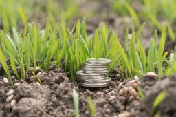 magnat hotelowy przejmuje 463 hektary na wyspie. pola zamienią się w lasy i hotele