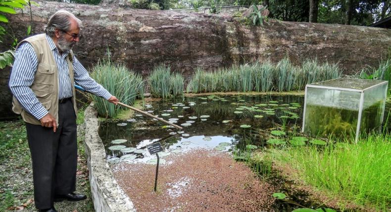 Botanist Alberto Gomez cleans a lake at his botanical garden in Quindio, Colombia