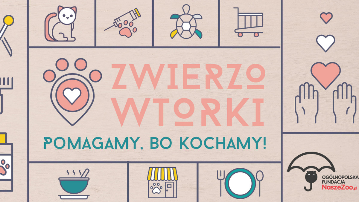 Od teraz wizyta w restauracji czy salonie pielęgnacji dla zwierząt może iść w parze z pomaganiem bezdomnym zwierzakom. Wszystko dzięki akcji "Zwierzowtorki", w ramach której wybrane lokale część utargu z każdego drugiego wtorku miesiąca będą przeznaczać na wsparcie czworonożnych podopiecznych Ogólnopolskiej Fundacji NaszeZoo.pl. Do tej inicjatywy przyłączyło się też kilka miejsc w Warszawie.