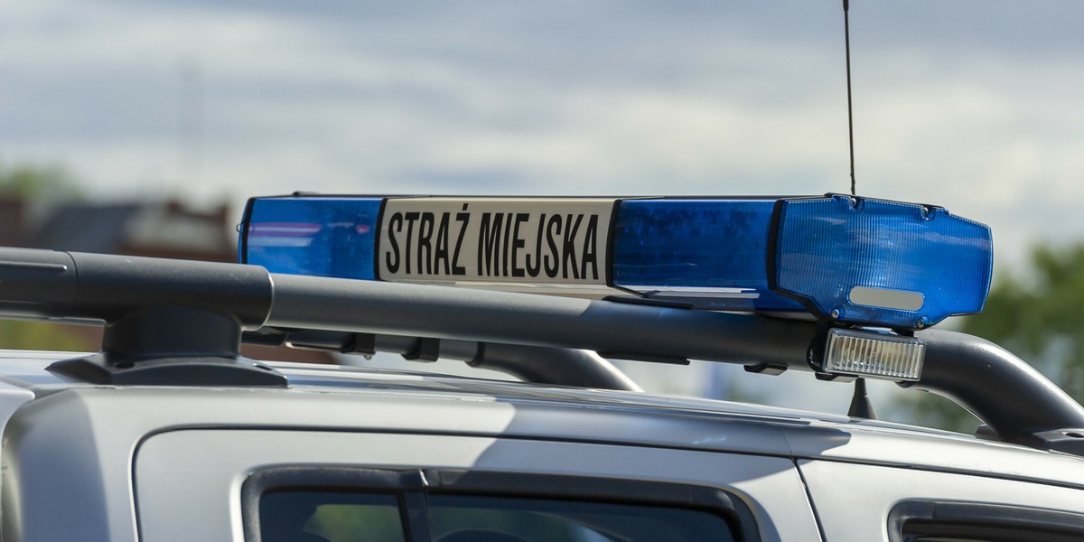 Strażnicy miejscy będą mogli nakładać grzywny