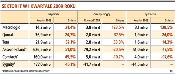 Sektor IT w I kwartale 2009 roku