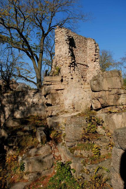 Ruiny zamku ks.Henryka koło Marczyc