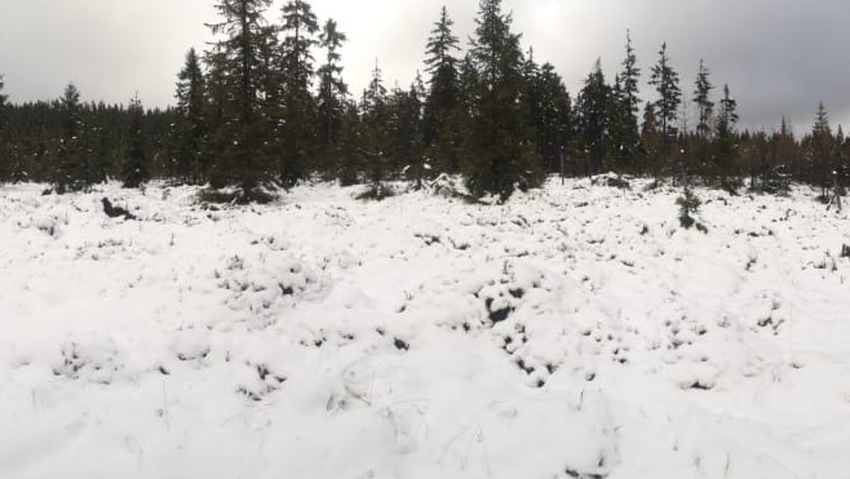 Pogoda na wtorek. Polarno-morskie powietrze, gdzieniegdzie  spadnie śnieg