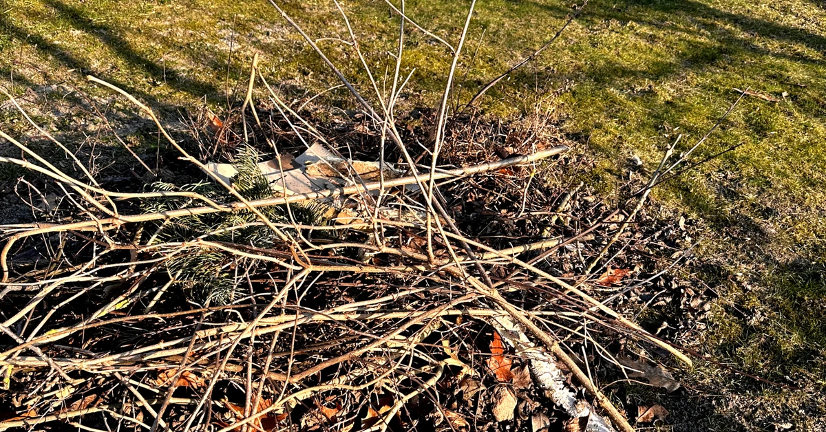 Palenie gałęzi na własnej działce w 2026 roku - co mówią przepisy? Czy można palić gałęzie na własnej posesji?