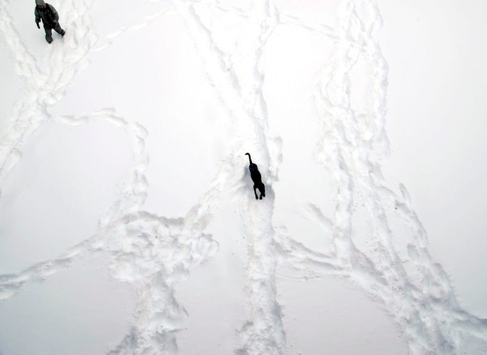 Nowy Jork pod śniegiem