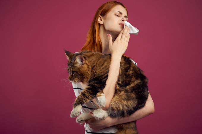 Kutya, macska, nyúl: nem csak a szőre lehet allergén