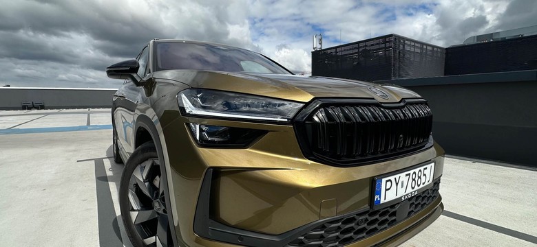 Ma silnik 2.0 i spala 5,3 l na 100 km. Skoda trzęsie rynkiem. Cena hitem