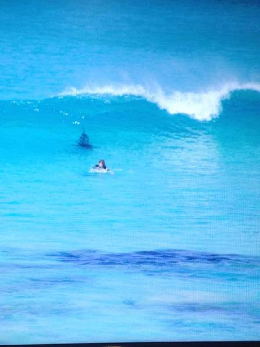 Rekin tuż za surferem