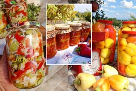 Dragica iz sela kod Valjeva je MAJSTOR ZA ZIMNICU, a ovo su njena TRI NAJBOLJA RECEPTA: Sad je pravo vreme da napravite LJUTENICU, PARADAJZ PAPRIKE I ŠARENU SALATU