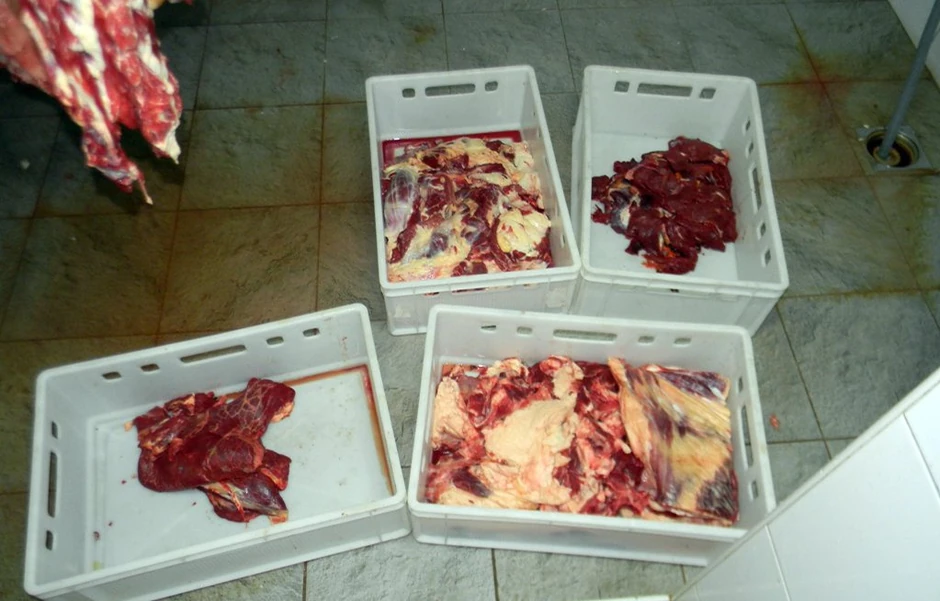 Otkrivena nelegalna klanica u Ratkovu