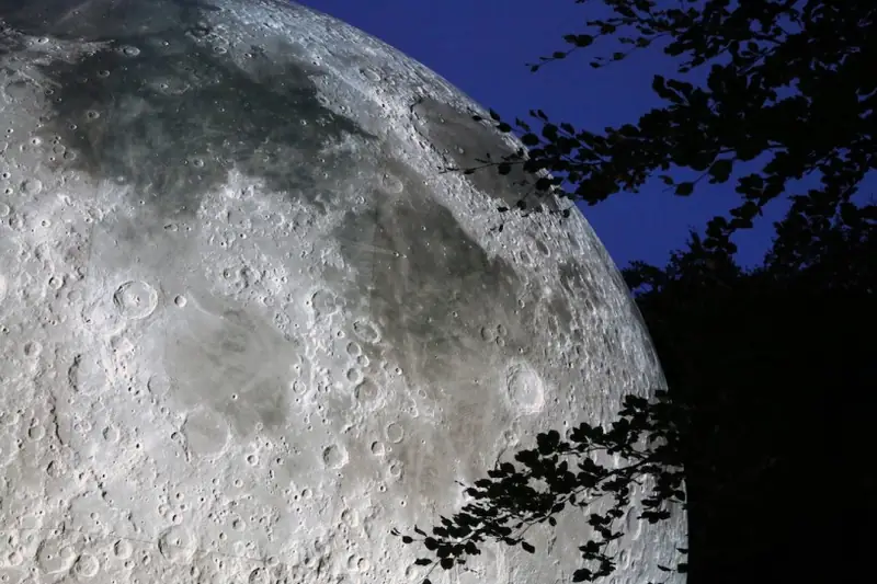 &quot;Museum of the Moon&quot; w ten weekend w CNK / fot. BBC Earth