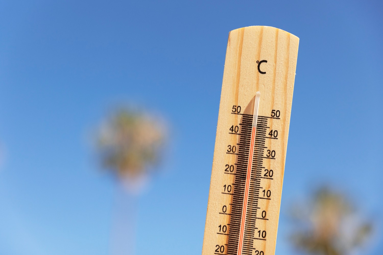 Rastúce teploty a čoraz častejšie vlny horúčav patria medzi klimatické faktory, ktoré podľa vedcov ovplyvňujú aj reprodukčné procesy u ľudí a zvierat.