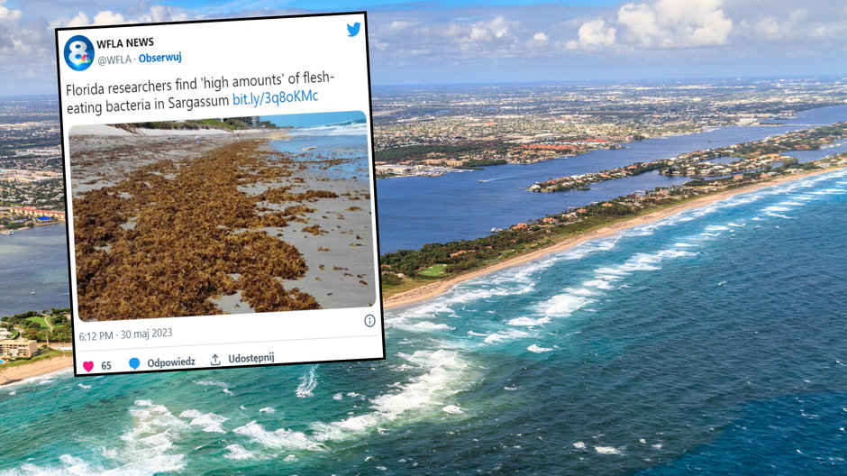 Toksyczna bakteria pojawiła się nad oceanem na Florydzie. Specjaliści alarmują (screen: Twitter.com/WFLA)