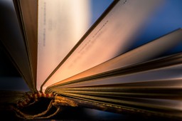 QUIZ z przysłów i powiedzeń. Potrafisz dokończyć każde? Ostatnie było popularne w PRL