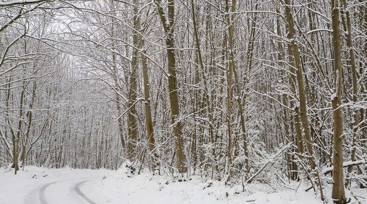 A hóesés holnapra alábbhagy/ Fotó:Northfoto