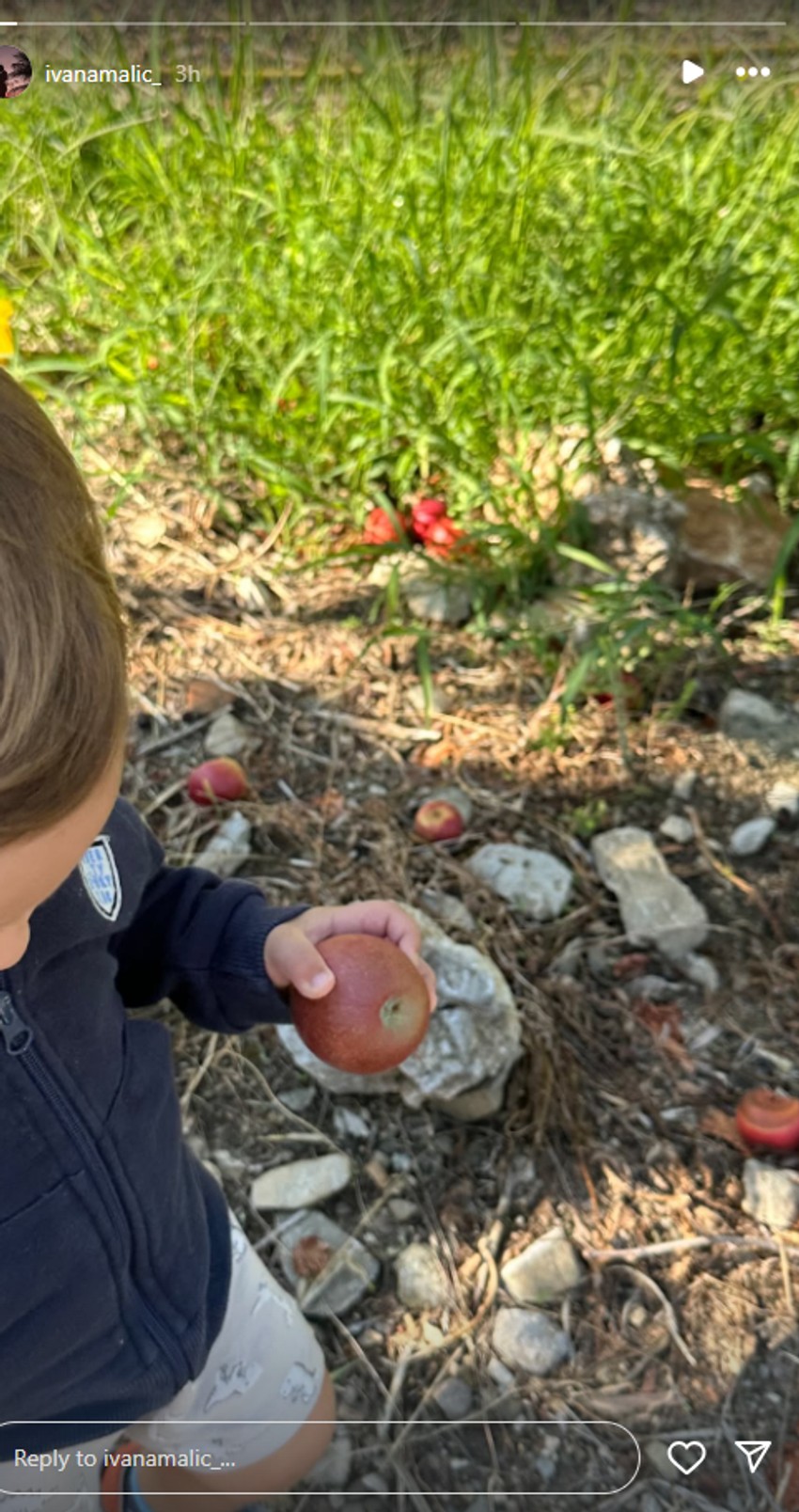 Ivana Malić, objava