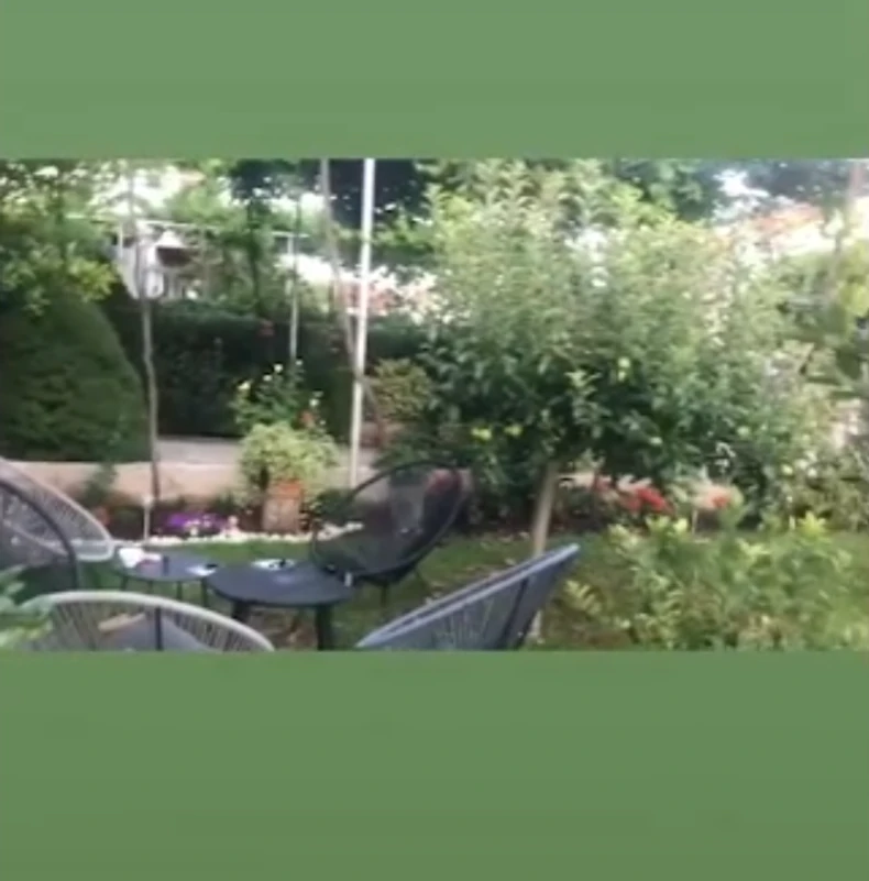 Nataša Ninković, imanje