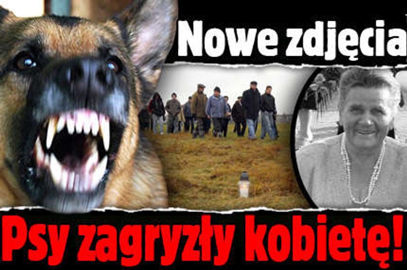 Psy zagryzły kobietę! Nowe zdjęcia